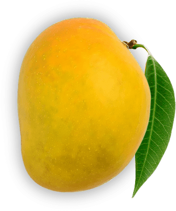 Chemically Ripened Mango