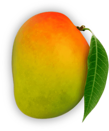 Original Alphonso Mango